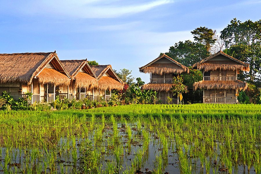 Exterior of Bali Silent Retreat’s houses and gardens. 